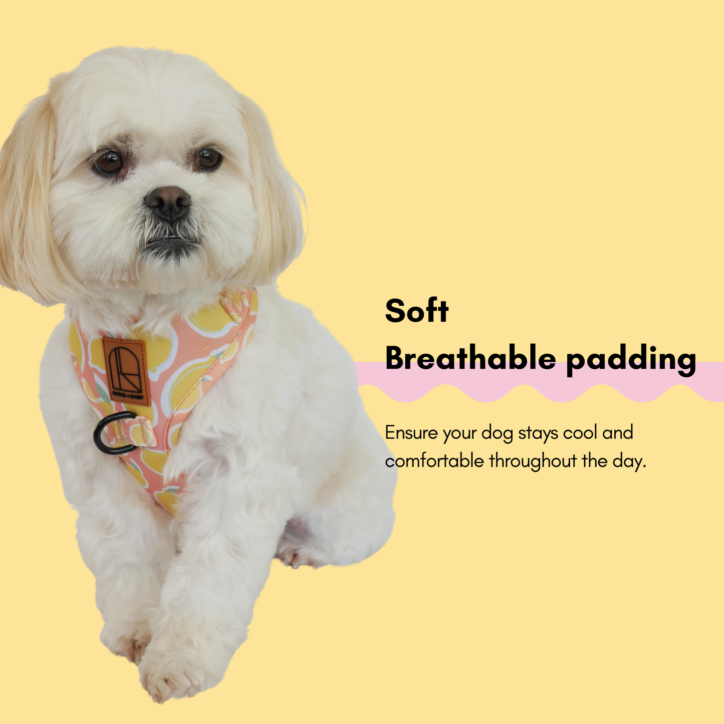 La Dolce Vita Harness Pack