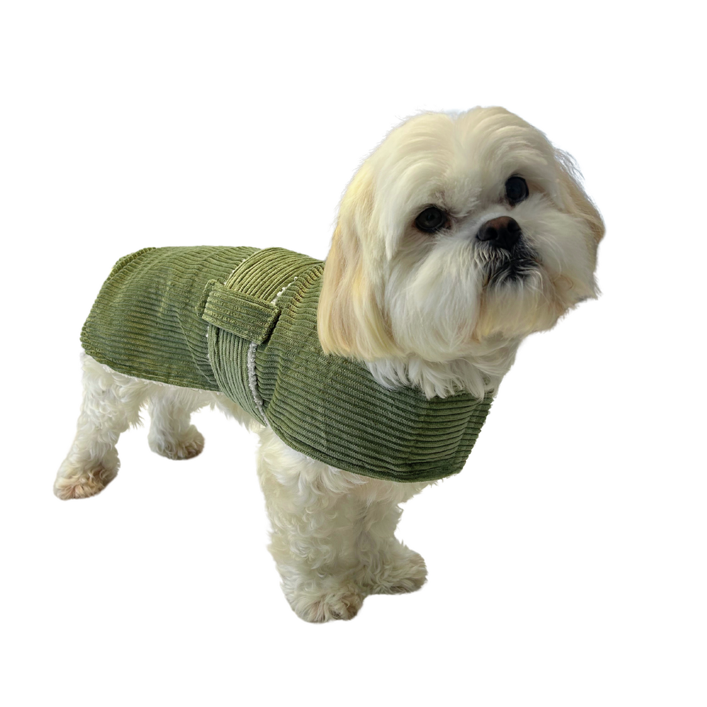 Corduroy Dog Coat - Green