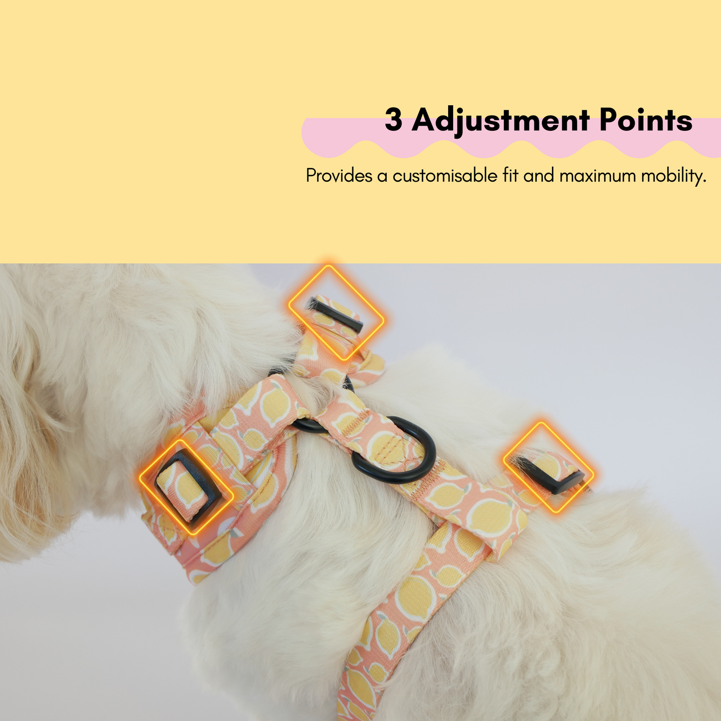 La Dolce Vita Harness Pack