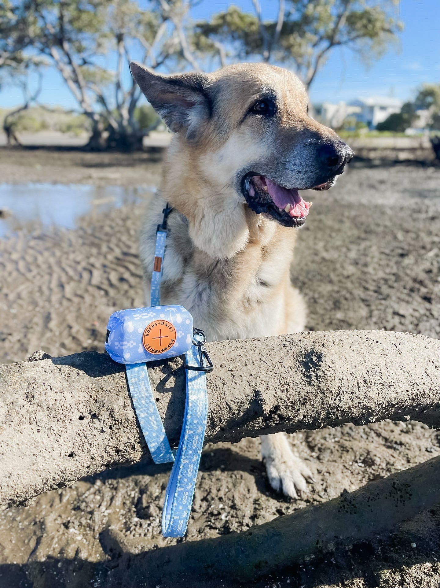 By The Ocean Lead