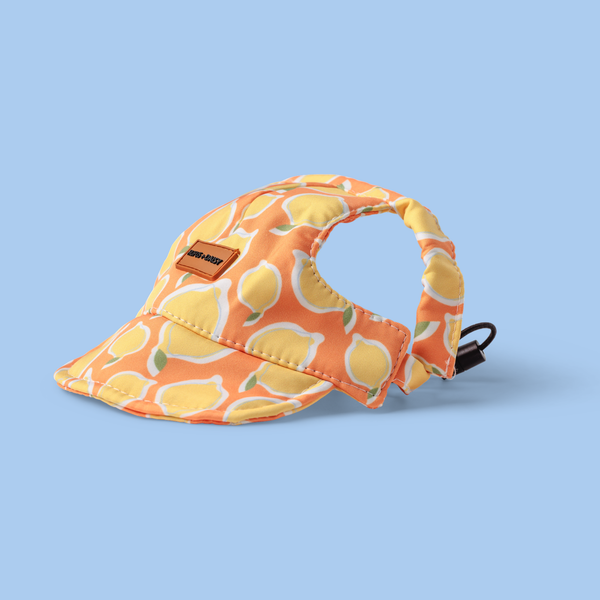 Dog Caps