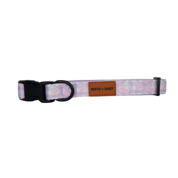 Pink & Purple Cherry On Top Dog Collar