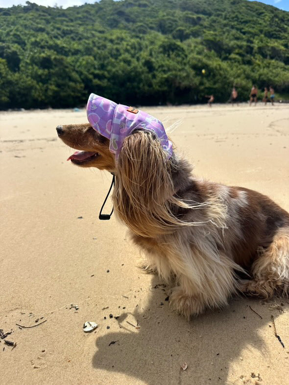 Dog wearing pink and purple checkered dog hat with cherry patterns and an adjustable chin strap, displayed on a plain background.