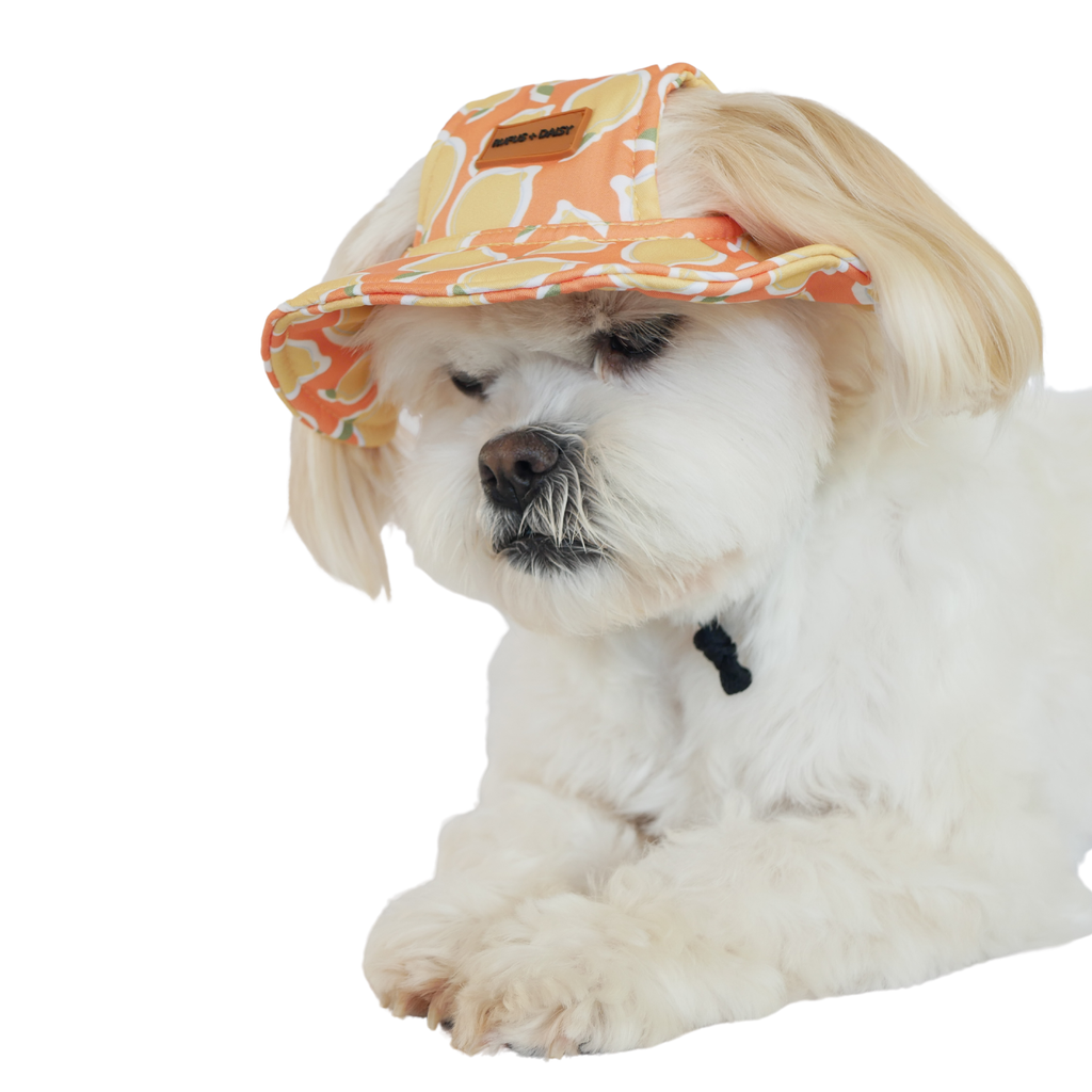 Yellow La Dolce Vita Lemon Dog Bucket Hat