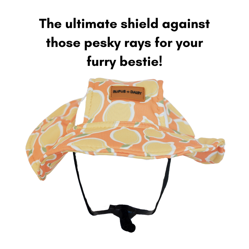 Yellow La Dolce Vita Lemon Dog Bucket Hat