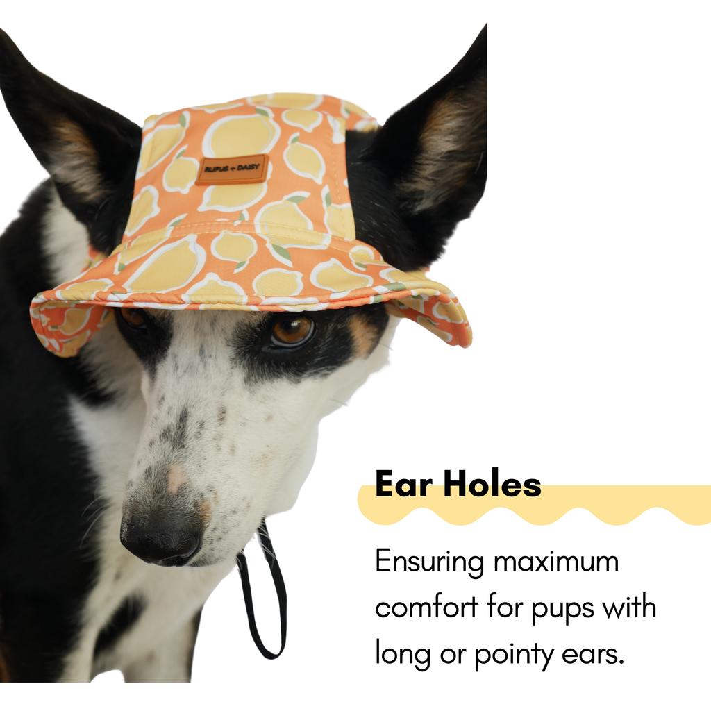 Yellow La Dolce Vita Lemon Dog Bucket Hat