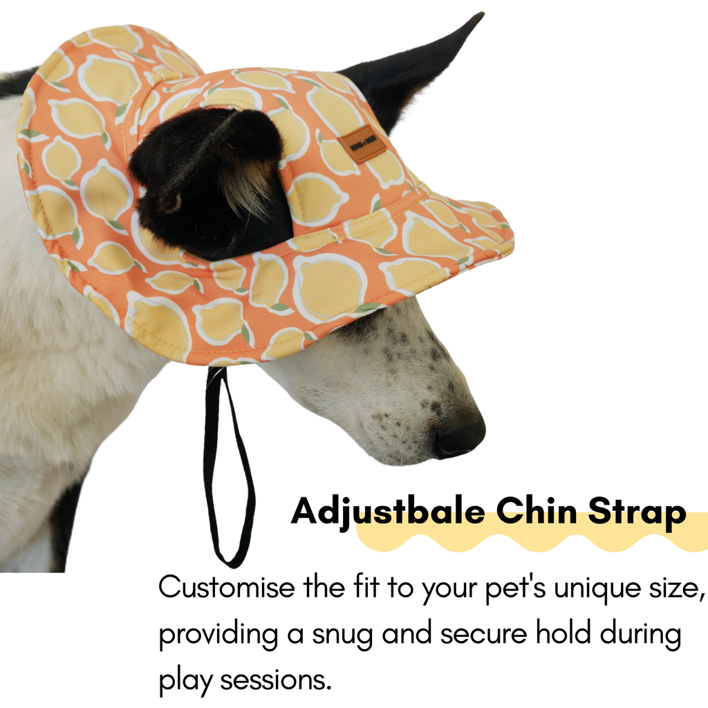 Yellow La Dolce Vita Lemon Dog Bucket Hat