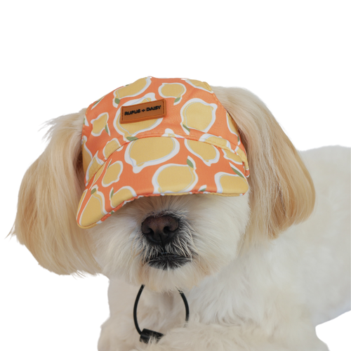 La Dolce Vita Hat