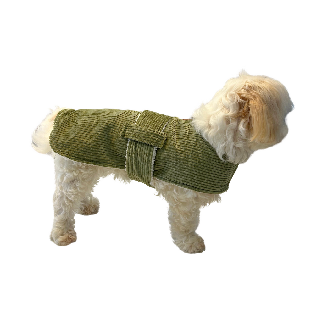 Corduroy Dog Coat - Green