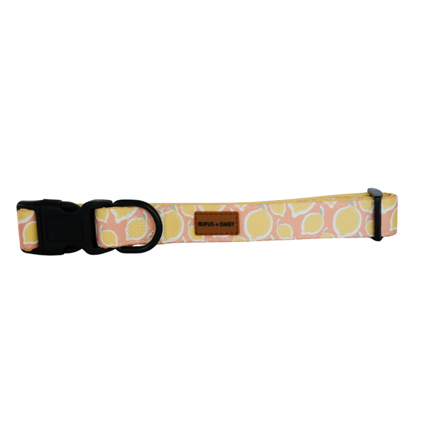 Yellow La Dolce Vita Lemon Dog Collar