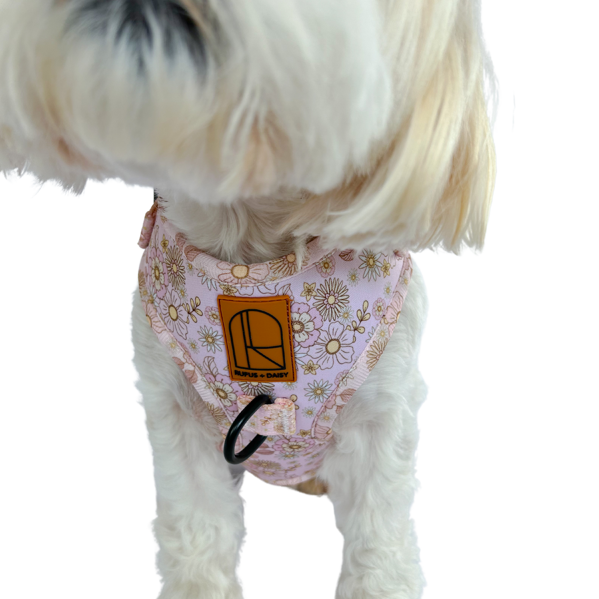 Daisy best sale dog harness