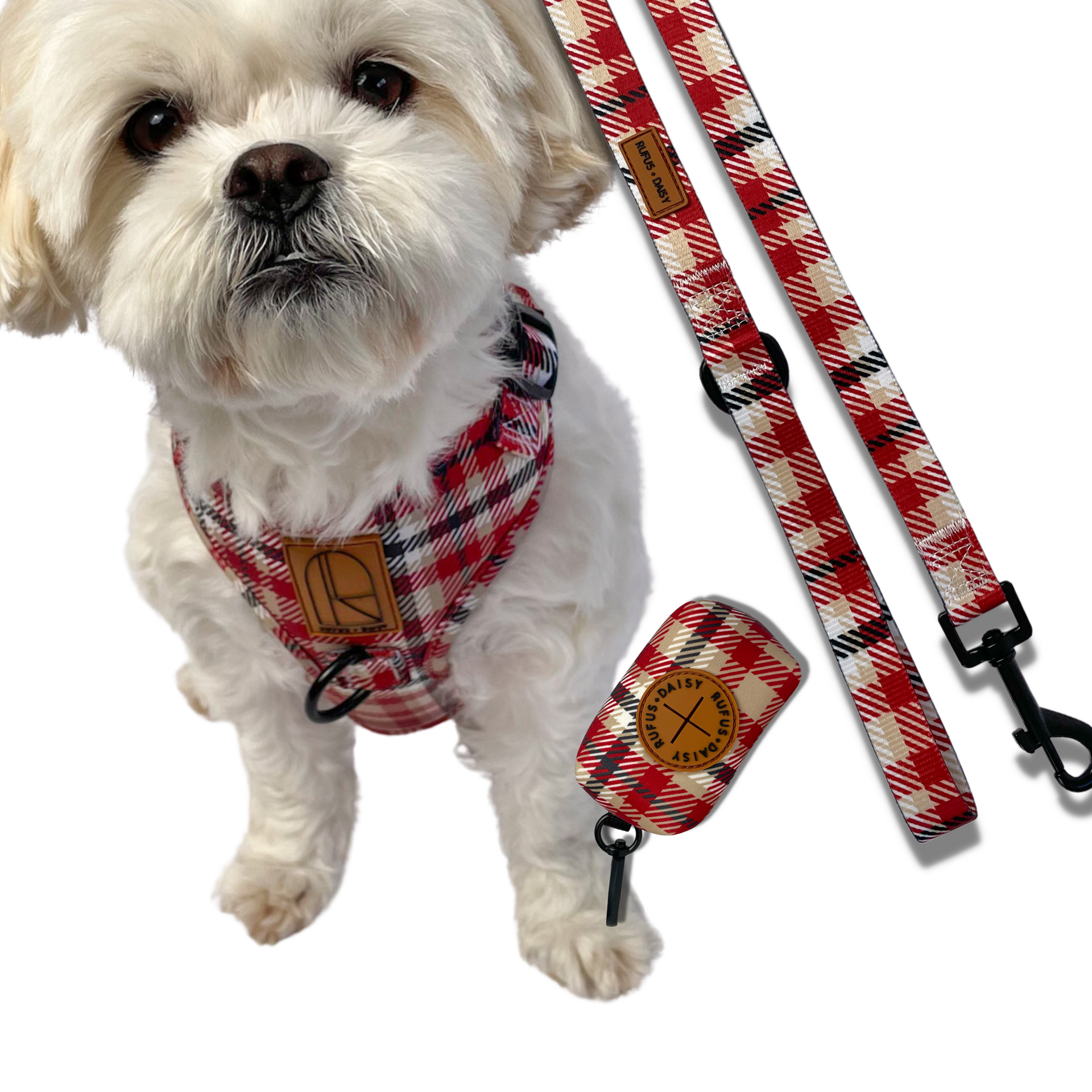 Daisy dog shop harness