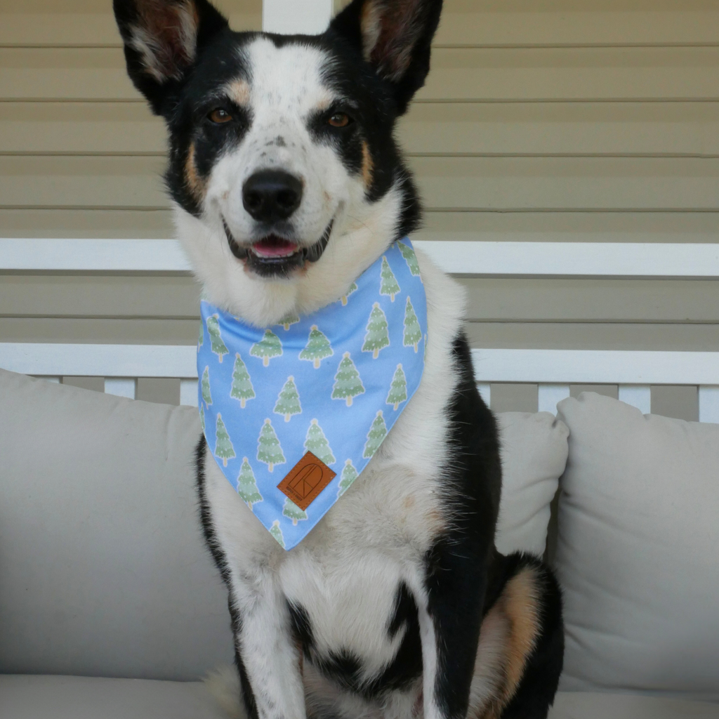 Blue & Green Glistening Pines Christmas Dog Bandana