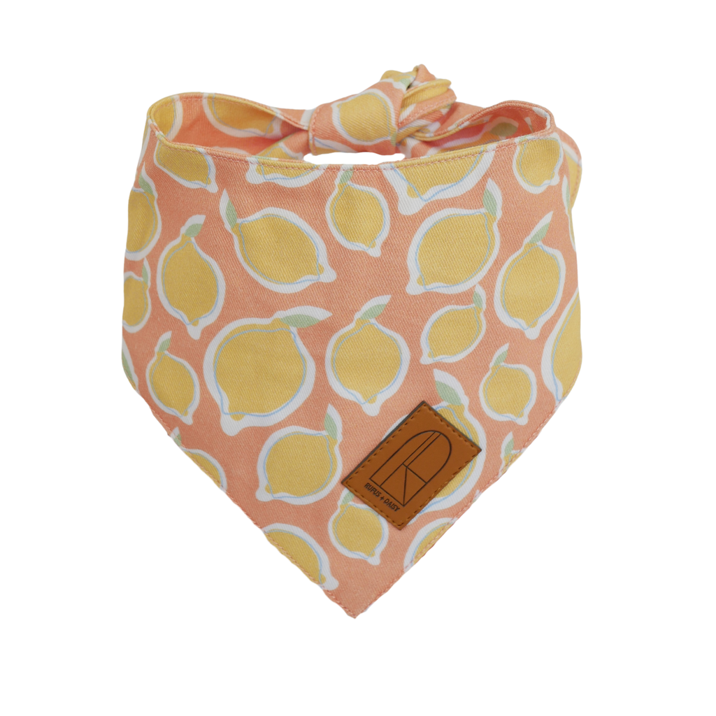 Yellow La Dolce Vita Lemon Dog Bandana