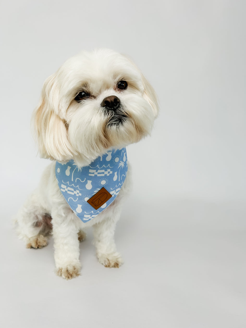 By The Ocean Bandana