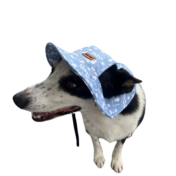 A dog wearing a blue dog bucket hat with a fun coastal pattern.