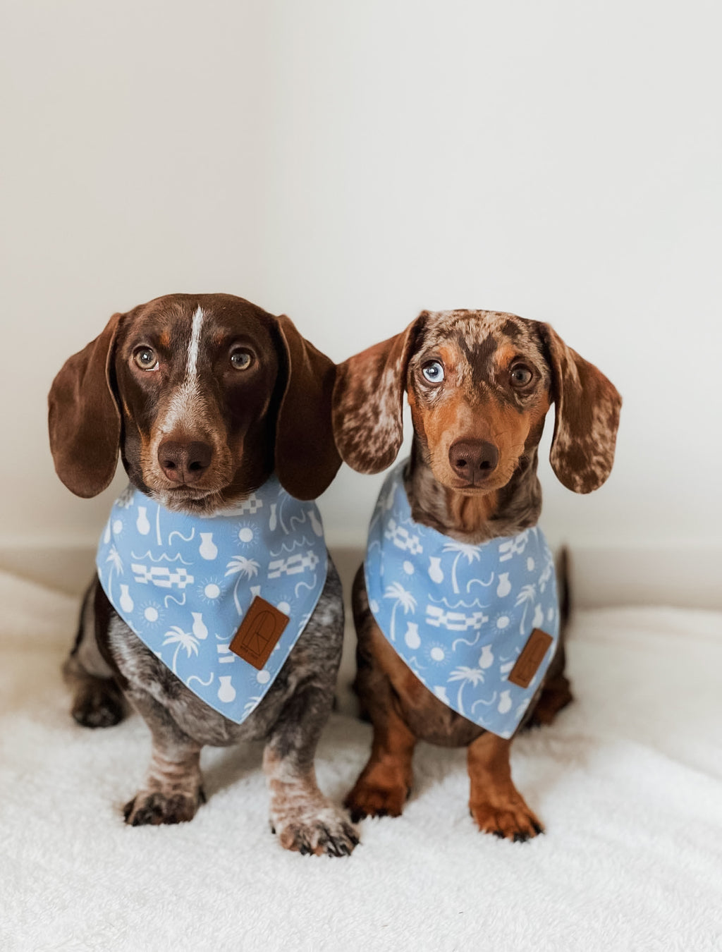 By The Ocean Bandana
