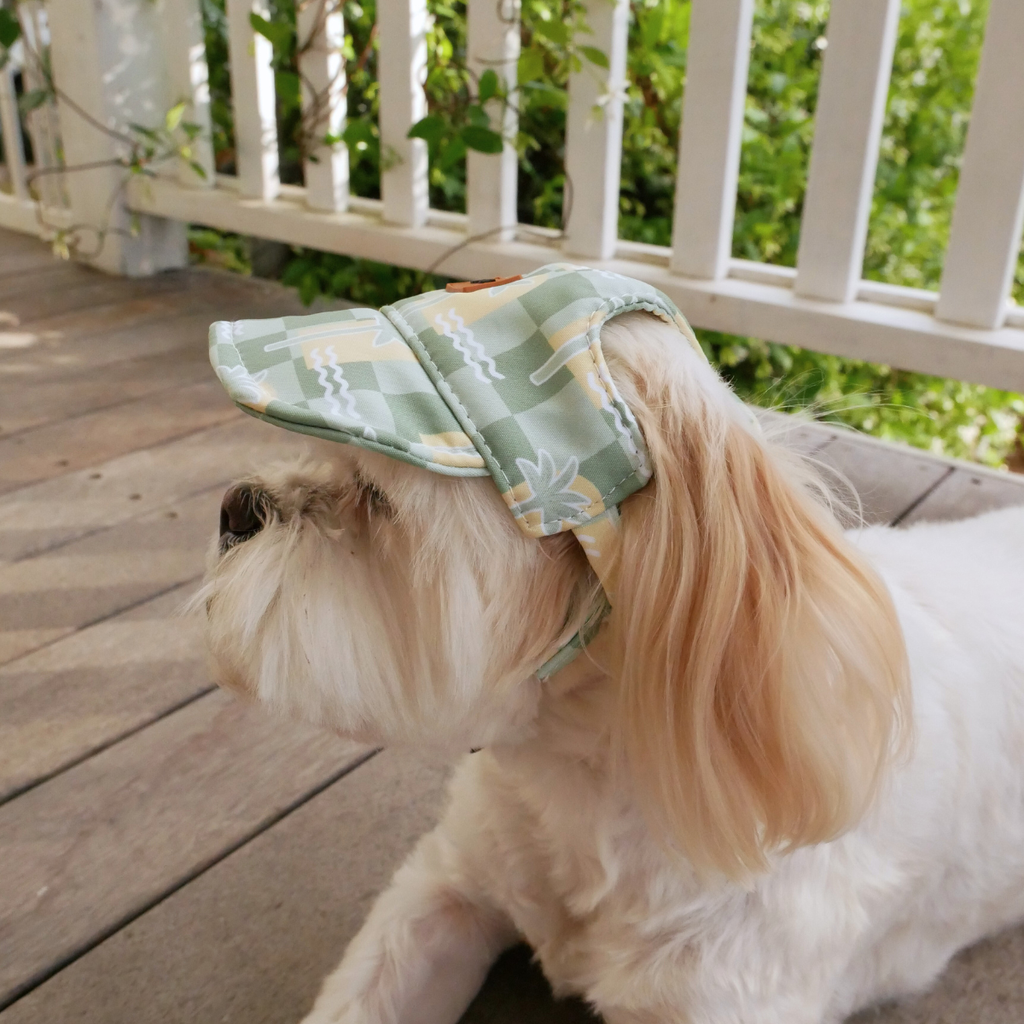 Green & Yellow Oasis Palm Dog Hat