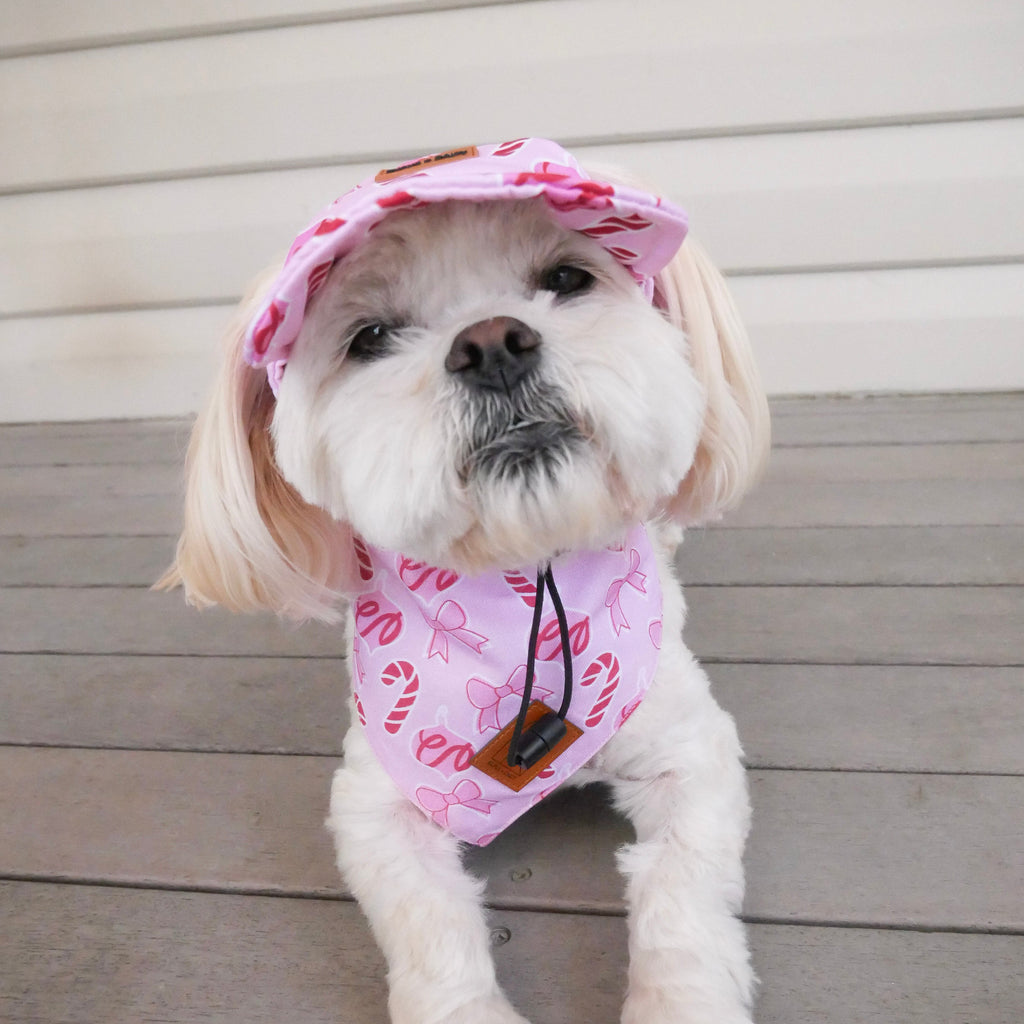 Dog in pink and red Christmas Bandana and matching hat