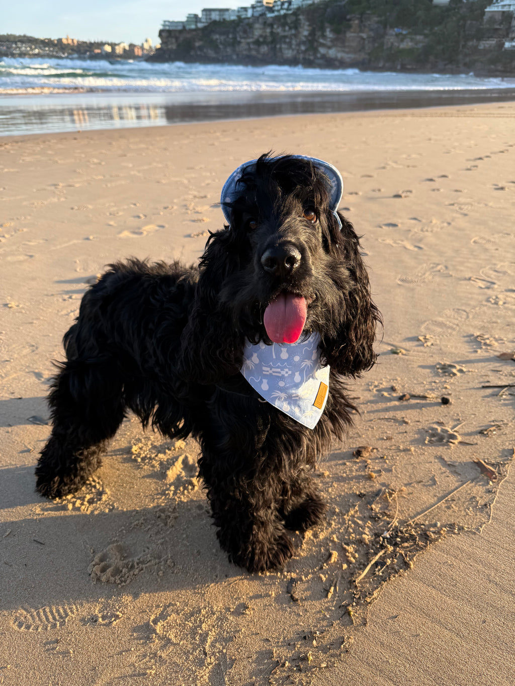 Blue By The Ocean Palm Dog Bandana