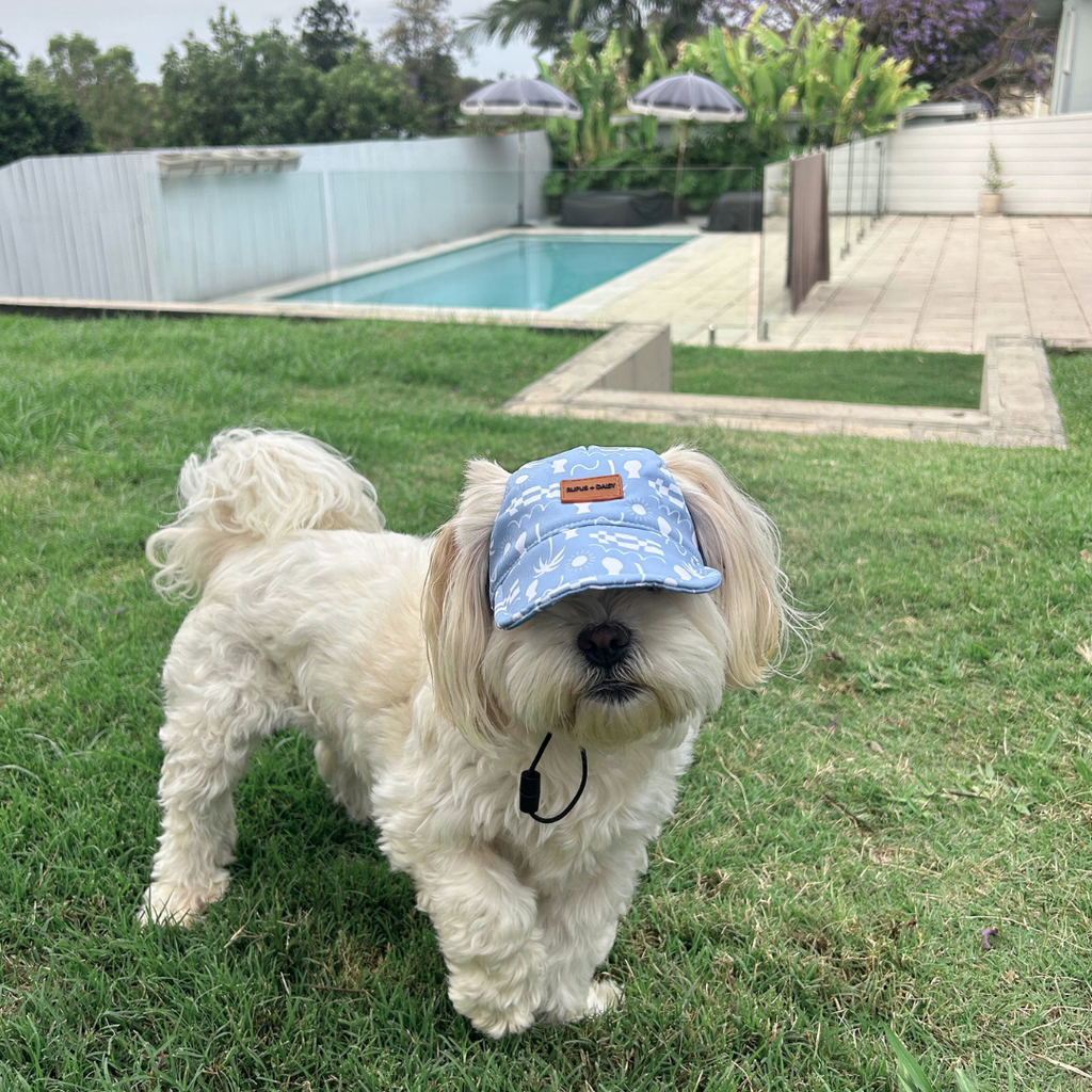 By The Ocean Hat