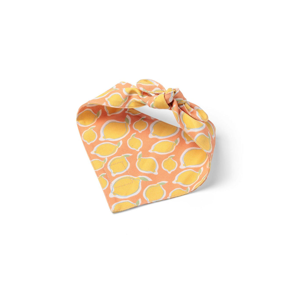 Yellow La Dolce Vita Lemon Dog Bandana