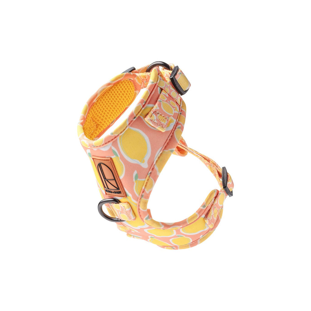 Yellow La Dolce Vita Lemon Dog Harness