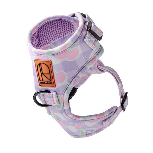 Dog harness with pink and purple charry pattern on a white background