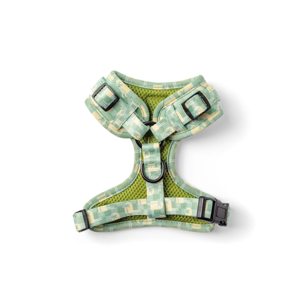 Green & Yellow Oasis Palm Dog Harness