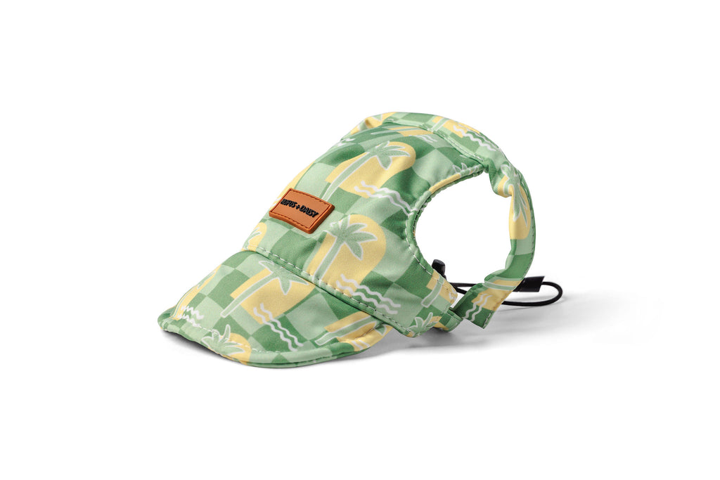 Green & Yellow Oasis Palm Dog Hat