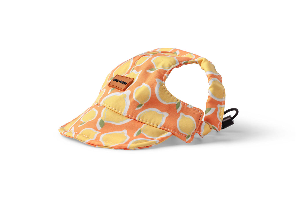 Yellow La Dolce Vita Lemon Dog Hat