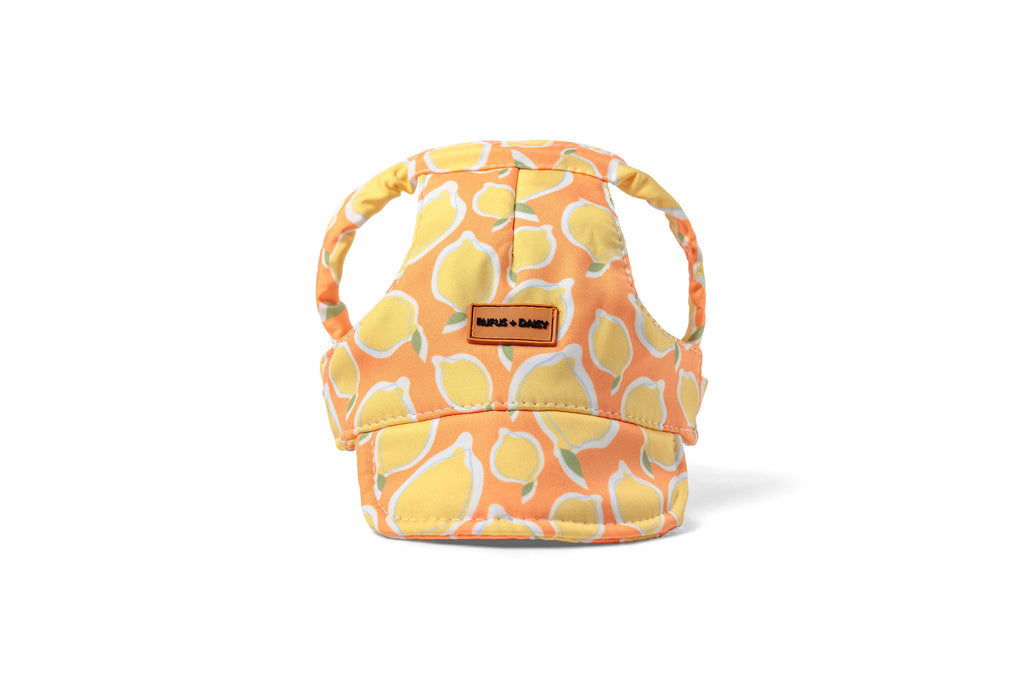 Yellow La Dolce Vita Lemon Dog Hat