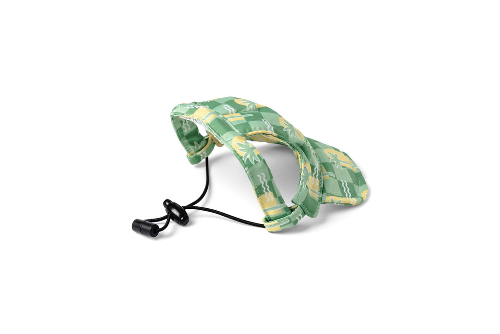 Green & Yellow Oasis Palm Dog Hat