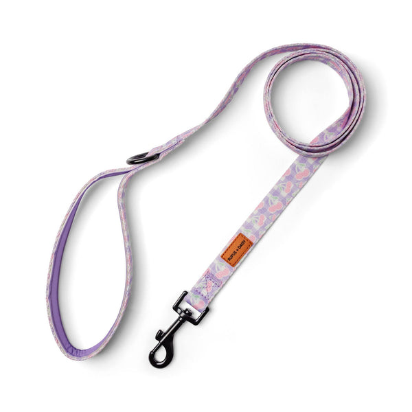Dog leash with pink and purple cherry patterned design on a white background