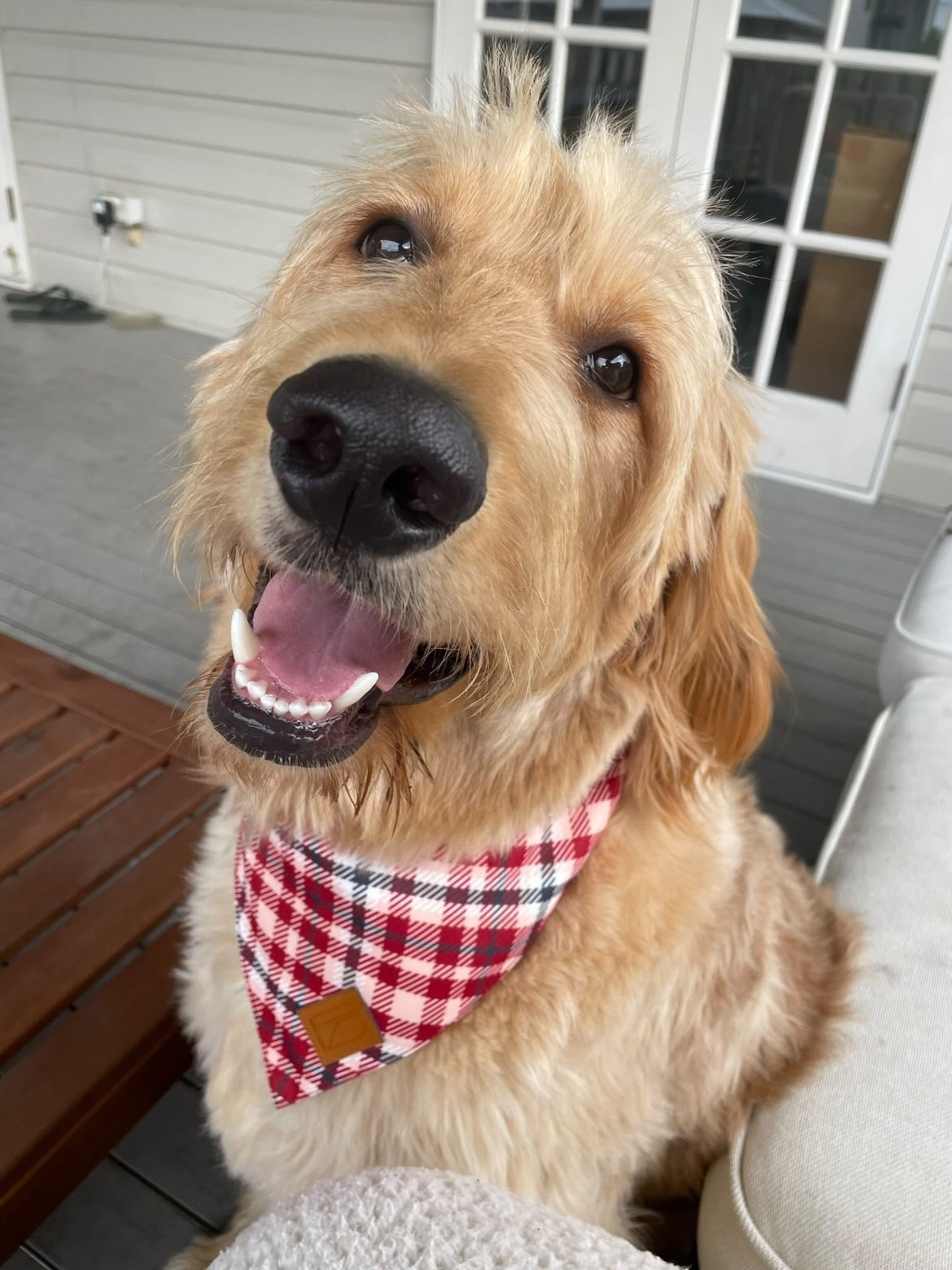 Plaid Bandana