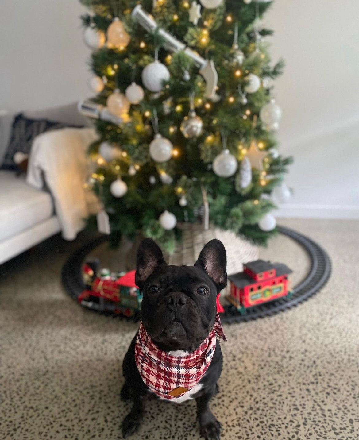 Plaid Bandana